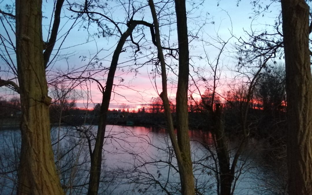 Erbrecht – Grundlagen VHS Obertshausen